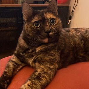 Meet your Posher, Dale